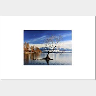 Wanaka Lake Tree 2 Posters and Art